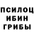 Галлюциногенные грибы Psilocybine cubensis Depre55iv Geek