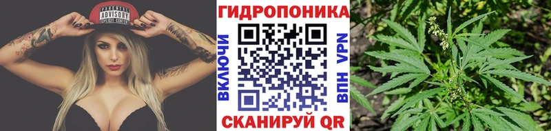 цена наркотик  Козловка  Бошки Шишки LSD WEED 